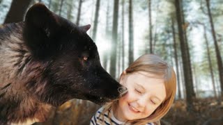 ARE WOLFDOGS DANGEROUS TO KIDS [upl. by Varrian]