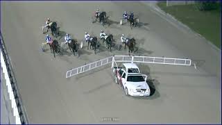 Western Fair Tuesday Oct 15 2024 Race5 Inquiry at start [upl. by Netsriik]