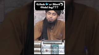 Whale or Shark fish HALAL hey ya HARAMshorts islam engineermuhammadalimirza motivation [upl. by Martguerita]