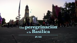 Así se vive una peregrinación a la Basílica  N [upl. by Aronael]