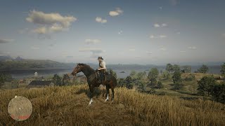 RDR2 Turkoman Horse Location  Turkoman [upl. by Eiramllij]