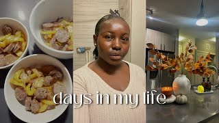 VLOG A Few Days In My Life Relaxing My Hair Fall Decor Shopping Dinner Shopping and more [upl. by Osswald317]