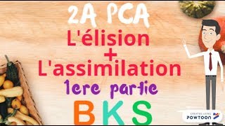 Lélision  lassimilation 1ère partie PCA 2A licence [upl. by Reamonn]