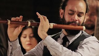 CPE Bach Flute Concerto in A minor Wq166 H431 – Bremer Barockorchester [upl. by Eugenides]