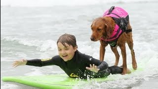 Dog surfing on ESPNs Sports Center  Surf Dog Ricochet [upl. by Aimar]