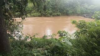 Dudhsagar Farm amp Villas Goa Where River Mountain amp Cloud is Calling [upl. by Akemyt]