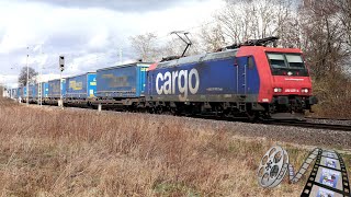 Trainspotting 309  4k60  SBB Cargo RE482 0254 mit KLV Zug [upl. by Anipsed]