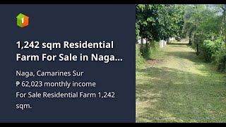 1242 sqm Residential Farm For Sale in Naga Camarines Sur [upl. by Vaientina]