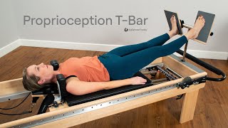 Proprioception TBar Introduction [upl. by Olshausen212]