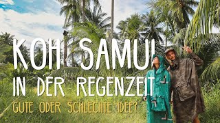 Koh Samui in der Regenzeit November • Thailand • Vlog 263 [upl. by Mario107]