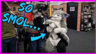 Cardiff Furries  First Furmeet of 2023 [upl. by Nelubez82]