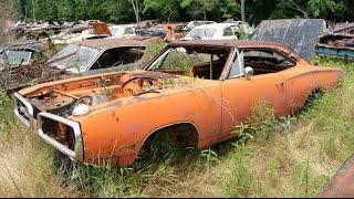 The largest Mopar Junkyard in the World Part 1 [upl. by Gorey]