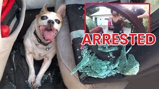 WHEN COPS AND CITIZENS RESCUE DOGS FROM EVIL PEOPLE [upl. by Adyela]