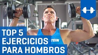 Top 5 Mejores Ejercicios Para Hombros con Mancuernas  Rutina para Deltoides [upl. by Laddie]