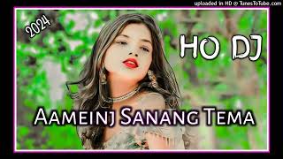 Aameinj Saning Tema New Ho Video Song 2k24 New Ho Munda Video Song 2k24 New Ho Munda Video Song [upl. by Chloette]