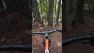 Devils Gulch Valemount mtb ridingtrees falllineriding [upl. by Eldnek]