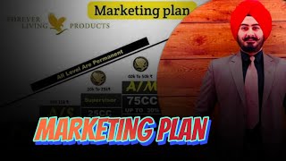 New Forever Marketing Plan 2024  FLP Marketing Plan  FLP  LADDI SINGH  TEAM FIRE 64 [upl. by Humfrey]