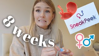 8 WEEKS PREGNANT WITH BABY 2 Sneak Peek Gender Early DNA Test Early Pregnancy Vlog [upl. by Ekim926]