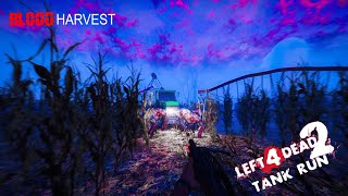 Left 4 Dead 2  Solo Expert Tank Run on Blood Harvest [upl. by Solahcin]