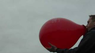 b2p 18 inch balloon  red Everts Steiber 2 [upl. by Alviani507]