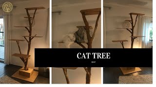 Katzenbaum Kratzbaum aus Massivholz DIY cat tree solid natural wood  tree trunk [upl. by Niraa186]