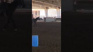 My 3rd Gymkhana Pattern 3 gymkhana horses [upl. by Kcirret222]