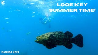 Snorkeling at Looe Key Florida Keys [upl. by Atthia]