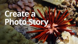 WeVideo Lesson Create a Photo Story [upl. by Marge861]