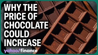 Why cocoa prices could drive up the cost of chocolate [upl. by Jozef]