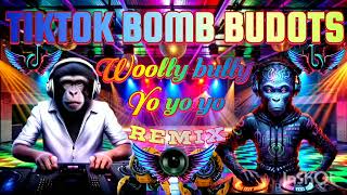 WOOLLY BULLY YOYOYO TIKTOK BOMB BUDOTS BOOSTEK MASHUPS DISCO NONSTOP REMIX 2024 2025 [upl. by Nelag]