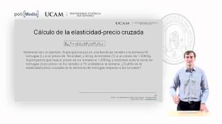 Microeconomía I  La elasticidad de la oferta y de la demanda 5  Alfonso Rosa [upl. by Faden]