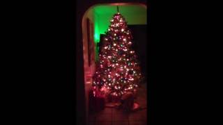 121616 Star Shower Laser Light amp Tree Dazzler [upl. by Elsey]