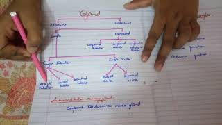 Shortest syllabus to PASS HISTOLOGY paper written pages by me MUST WATCH [upl. by Sheridan176]