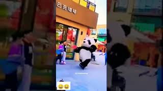 panda pandalover funny cute [upl. by Neeoma]