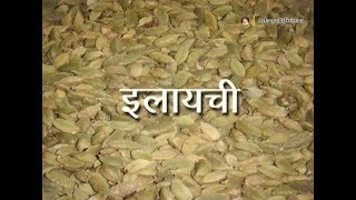 Ayurvedic Benefits of Elaichi  Acharya Balkrishna [upl. by Nolrak84]