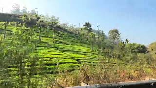 Bangalore to Mysore to Ooty bangalore travel nature ooty rain mysore ooty NKBro9555 [upl. by Nnylatsyrc276]