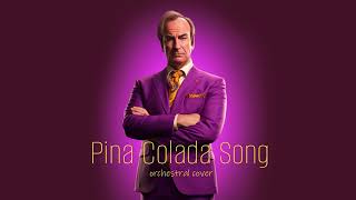 quotPina Colada Songquot Rupert Holmes Escape Orchestral Cover [upl. by Swainson]