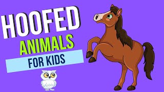 Amazing Hoofed Animals for Kids [upl. by Sladen]