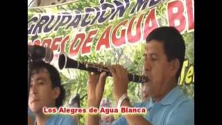 LOS ALEGRES DE AGUA BLANCA  FIESTA PATRONAL EN TARAPOTO [upl. by Akcirred]