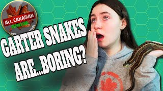 Youre Wrong About Garter Snakes [upl. by Weinshienk]