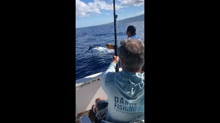 Blue Marlin Fishing Kona [upl. by Aidroc]