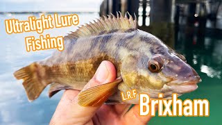 Ultra Light LRF Lure Fishing Brixham Devon [upl. by Eerrehs]