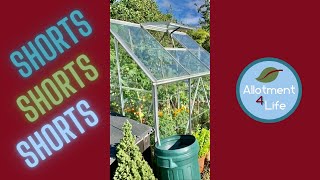 Small greenhouse ideas for beginners [upl. by Valma]