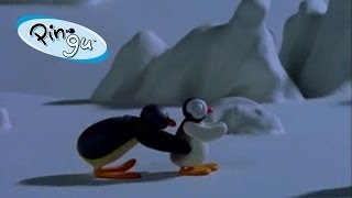 Pingu Pinga Sleepwalks [upl. by Nolaf]