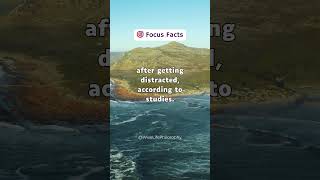 Stay Focused Get More Done 🎯 FocusFacts Productivity TimeManagement [upl. by Nichy]