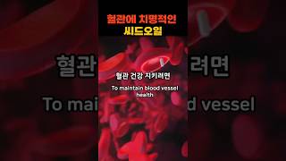 혈관에 치명적인 씨드오일 Seed Oils That Are Fatal to Blood Vessels [upl. by Jane365]