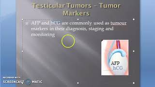 Pathology 711 b Testicular Tumor Markers [upl. by Bellina]