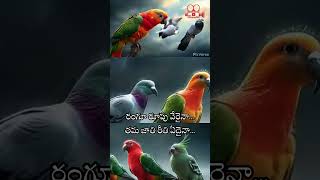 GUNNAMAMIDI KOMMA MEEDA Song That Will Bring Back Old Memories [upl. by Anina]