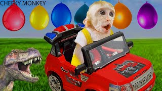 Playful little monkeys drive supercars play water balloons and cook grilled fish and dinosaur eggs [upl. by Synned245]