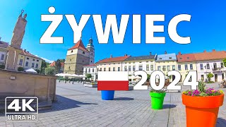 Zywiec Poland Walking Tour ☀️ 4K Ultra HD – With Captions [upl. by Arikaahs]